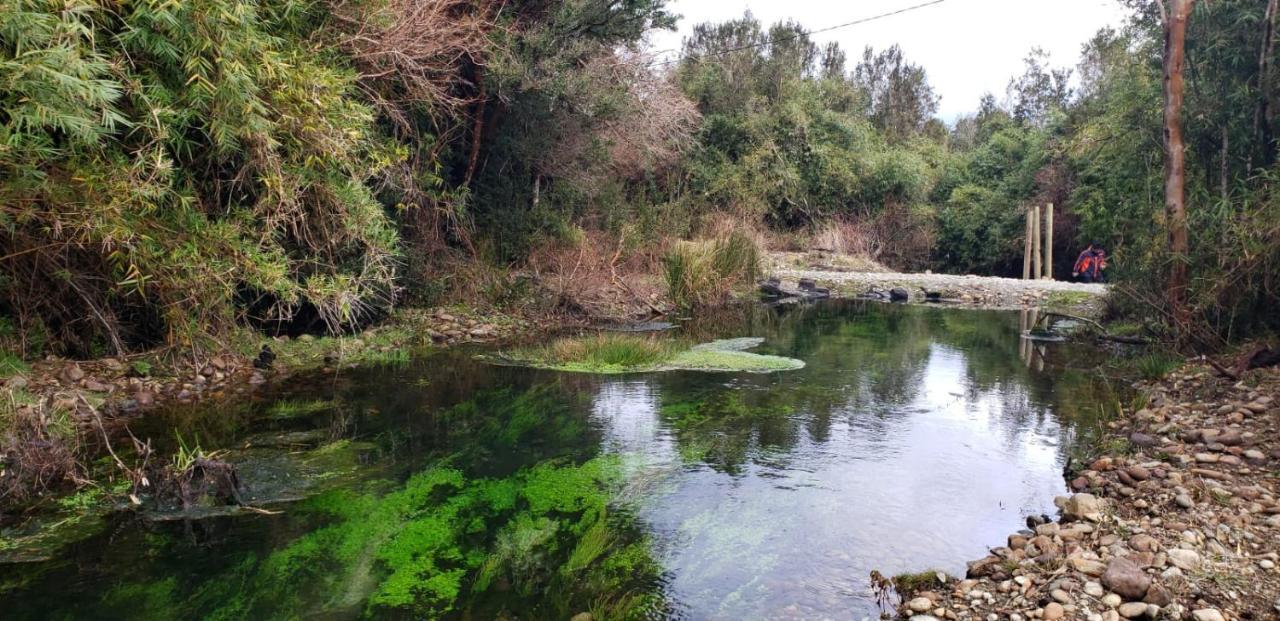 Cabanas P Y R Los Canelos Hornopiren Εξωτερικό φωτογραφία